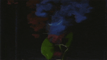 Chester Bennington GIF by Grey Daze