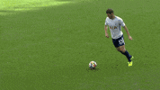 london football GIF by Tottenham Hotspur