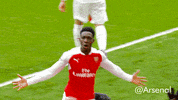 Premier League Football GIF by Arsenal