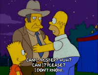 homer simpson GIF