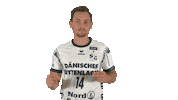 Handball-Bundesliga Dance Sticker by LIQUI MOLY HBL