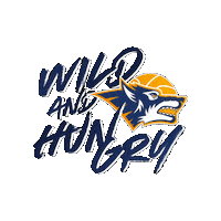 Bbl Sticker by Rostock Seawolves