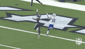 National Football League GIF by NFL