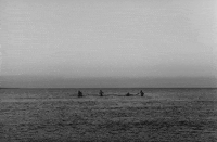 ingmar bergman GIF by Maudit