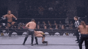 Chris Jericho ÄEw GIF by All Elite Wrestling on TNT