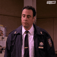 Everybody Loves Raymond Romano GIF by TV Land
