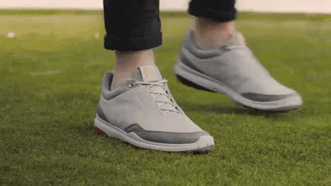 songsususu giphygifmaker GIF