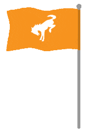 FordMX bronco ford bronco bronco flag bronco bandera Sticker