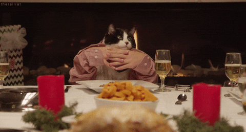 cat christmas GIF