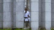 karatecombat sports sport mma punch GIF