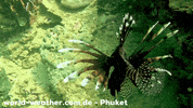 Ocean Fish GIF by world-weather.ru