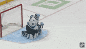 National Hockey League Dancing GIF by NHL