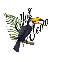 Joies_store summer лето toucan joies Sticker