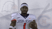 Cnfb19 GIF by Carson-Newman Athletics