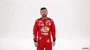 Austin Dillon No GIF by Richard Childress Racing