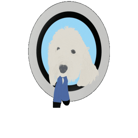 washermans giphygifmaker Sticker
