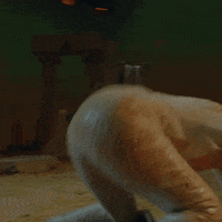 robynkonichiwa choreography louis vuitton robyn ever again GIF