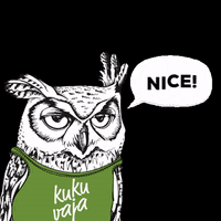 Kukuvaja nice owl eule kukuvaja GIF