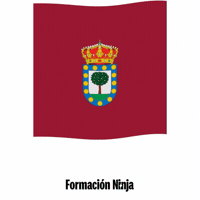 Castilla Y Leon Flag GIF by Formación Ninja