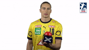 Handball-Bundesliga Handball GIF by LIQUI MOLY HBL