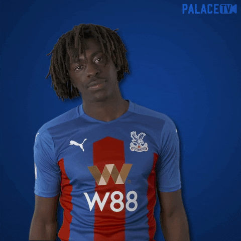 Premier League Yes GIF by CPFC