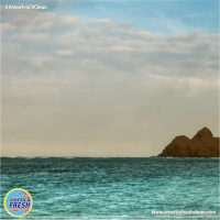 GIF by Viral Amplifier