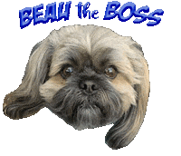 Dog Boss Sticker