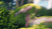 Attack Rolling GIF by Pokémon