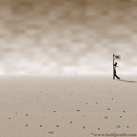 Wild West Horse GIF by William Garratt