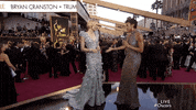 red carpet oscars GIF by The Academy Awards