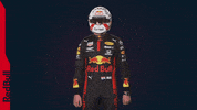 Ver Red Bull GIF by Red Bull Racing