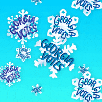 Voting Winter Wonderland GIF by Creative Courage