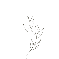 Leaves Sticker