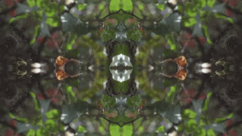 Art Love GIF by jorgemariozuleta