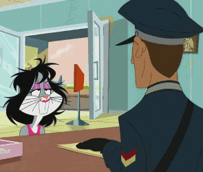 show toons GIF