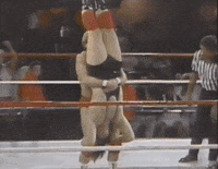 Mr Wonderful Sport GIF