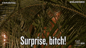 surprise arriving GIF by Isola dei Famosi