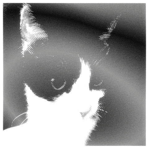 Art Cat GIF by Orla in Berlin