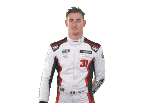 alfa romeo celebration Sticker by FIA WTCR