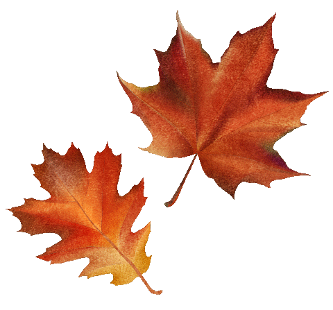 Fall Season Sticker by SoulRoboX s.r.l.