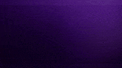 Go Get It Nfl Playoffs GIF by Minnesota Vikings