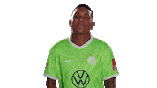 Changing Van De Sanden Sticker by VfL Wolfsburg
