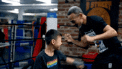 Boxing GIF