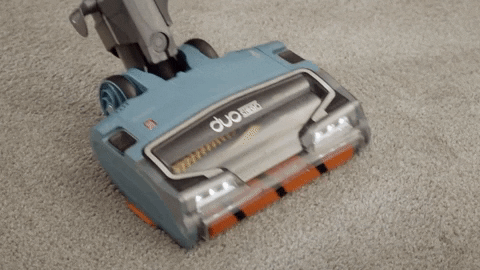cleanhomies giphyupload GIF