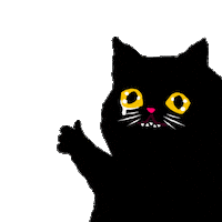 Black Cat Ok Sticker by FRUGIT