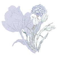 Fashion Flower Sticker by inforiamiranda