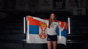 Georgia Tech Volleyball GIF by Georgia Tech Yellow Jackets