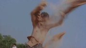 kung fu GIF