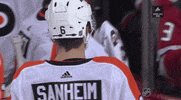 ice hockey sport GIF by NHL