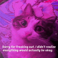 Cat Meme GIF by Furrend